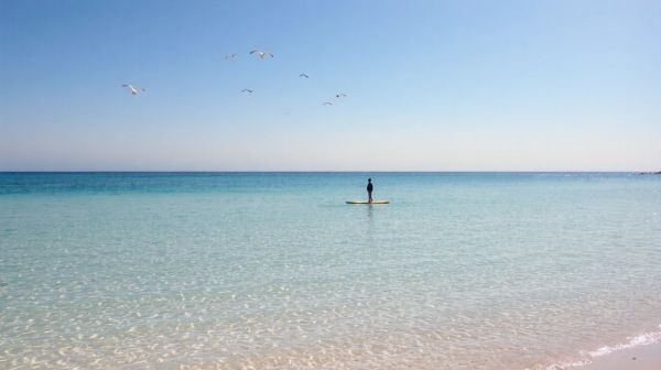 Guide d'achat : le meilleur stand up paddle pour la mer